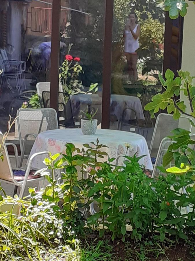 Apartment Helena سينج المظهر الخارجي الصورة